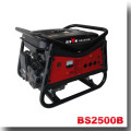 BISON(CHINA) 3kw Actual Rated Power Copper 10 hp Generator